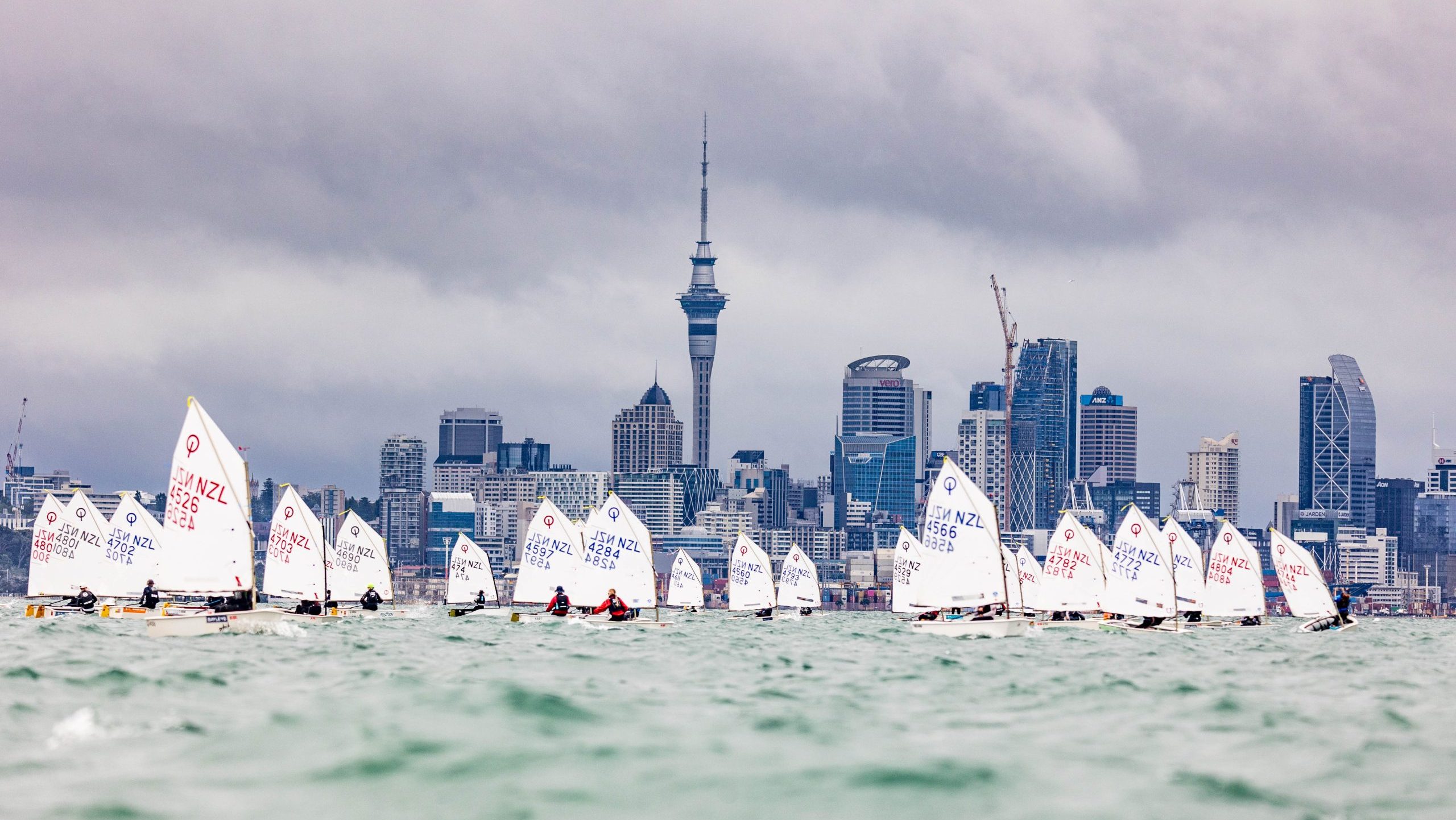 2024 Paul Neshausen Optimist and Starling Auckland Champs – Results